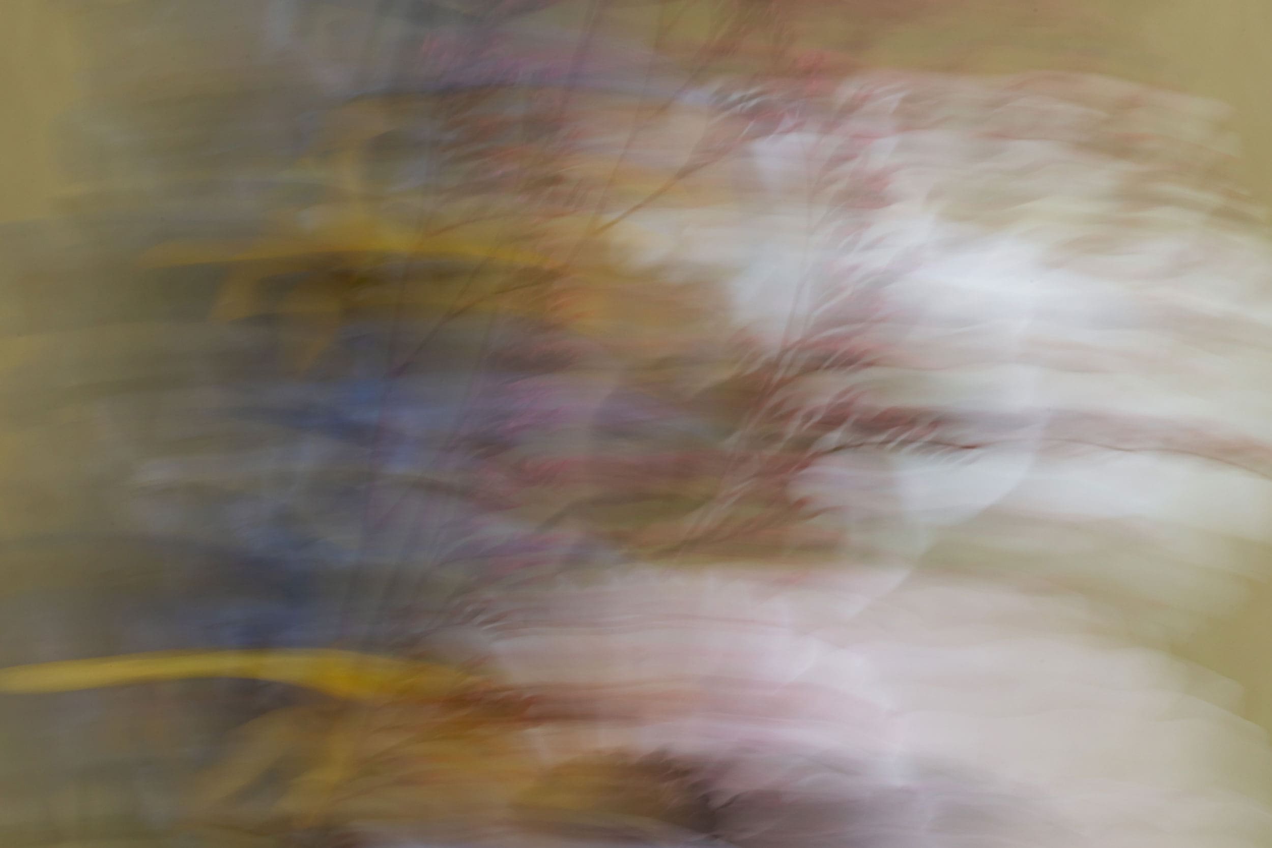 blurry flowers in purple, orange and pink on a beige background